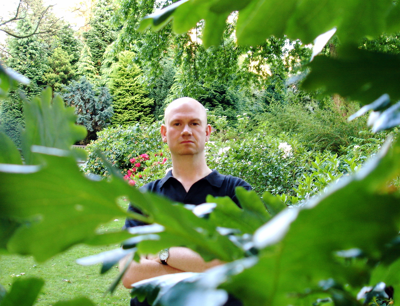 David Leddy - Susurrus.  Photo: Beverine Neeper